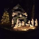 Slavnostní rozsvícení vánočního stromu 1