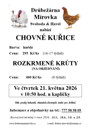 kuřice