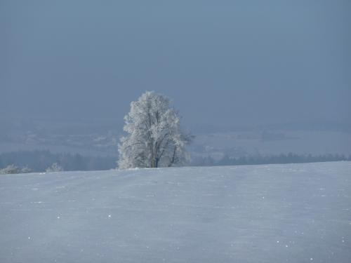 Sníh 2010